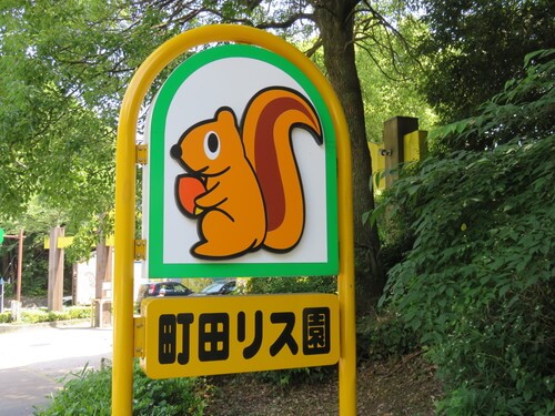 町田リス園