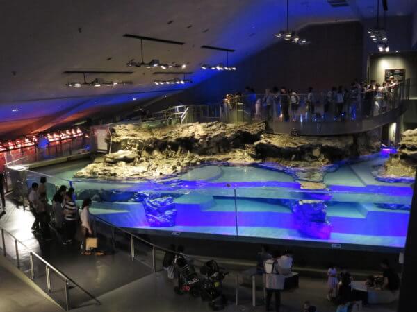 すみだ水族館