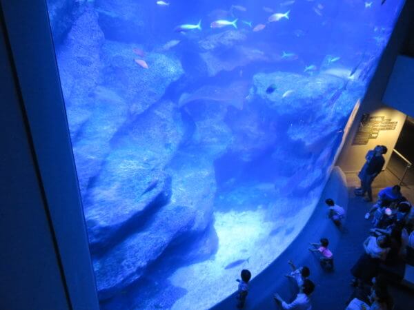 すみだ水族館