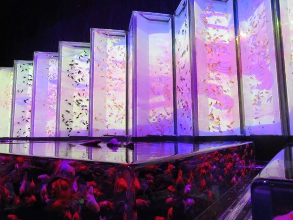 日本橋アートアクアリウム2018