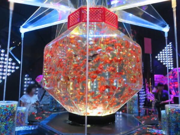 日本橋アートアクアリウム2018