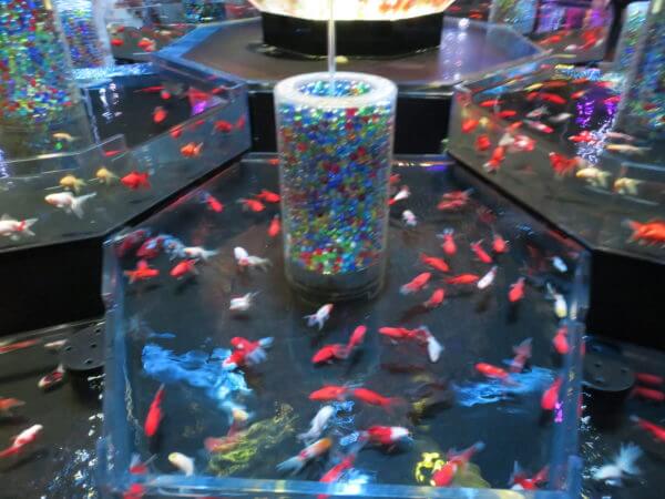 日本橋アートアクアリウム2018