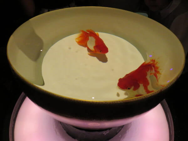 日本橋アートアクアリウム2018