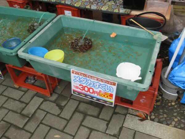 金魚まつり(行船公園)