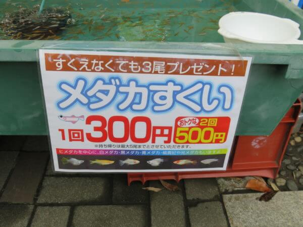 金魚まつり(行船公園)