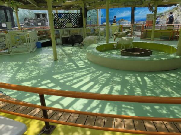 自然動物公園(行船公園)