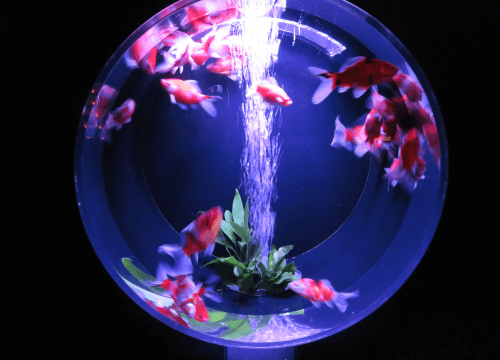 日本橋アートアクアリウム2018