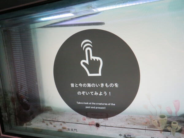 マクセル アクアパーク品川