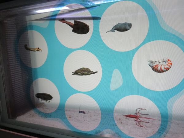 マクセル アクアパーク品川