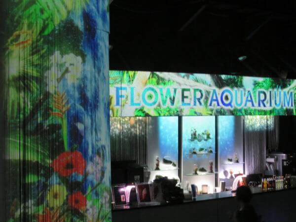 マクセル アクアパーク品川