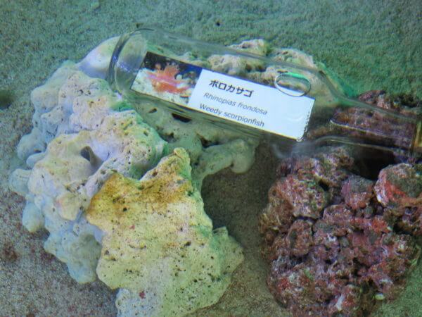 マクセル アクアパーク品川