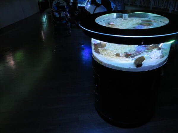 マクセル アクアパーク品川