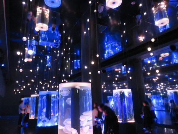 マクセル アクアパーク品川