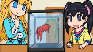 東京都内のアクアショップ