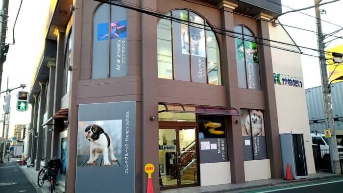 かねだい足立店