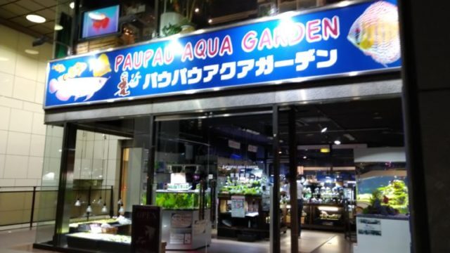 パウパウアクアガーデン 銀座店
