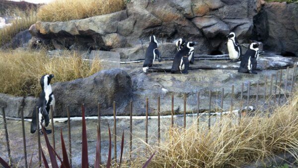 サンシャイン水族館