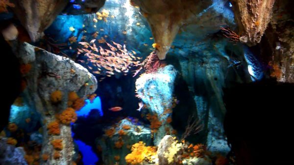サンシャイン水族館