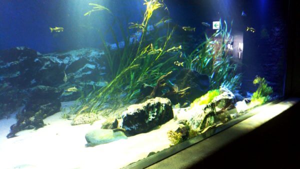 サンシャイン水族館
