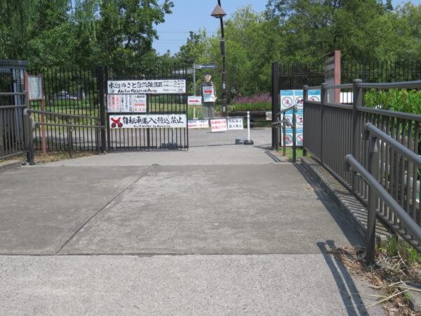 葛飾区金魚展示場