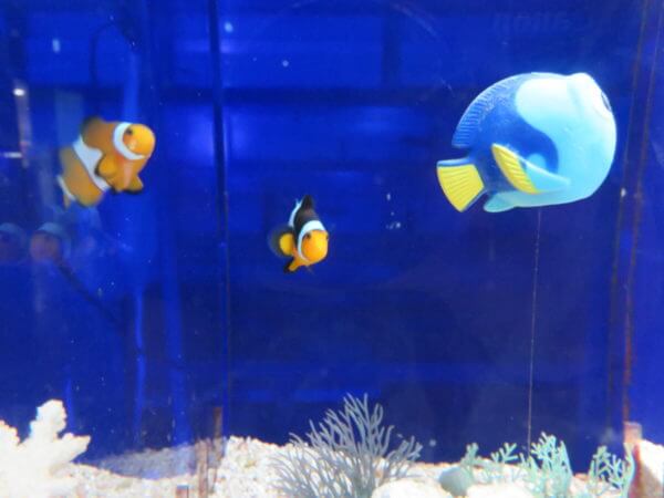 東京タワー水族館