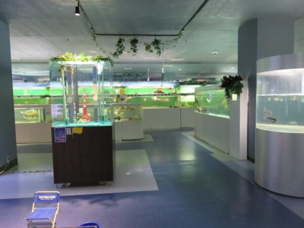 東京タワー水族館