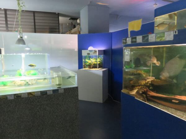 東京タワー水族館