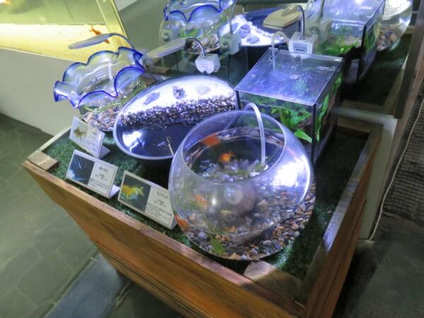 東京タワー水族館