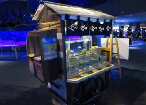 金魚屋さん