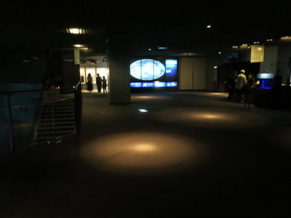 葛西臨海水族園