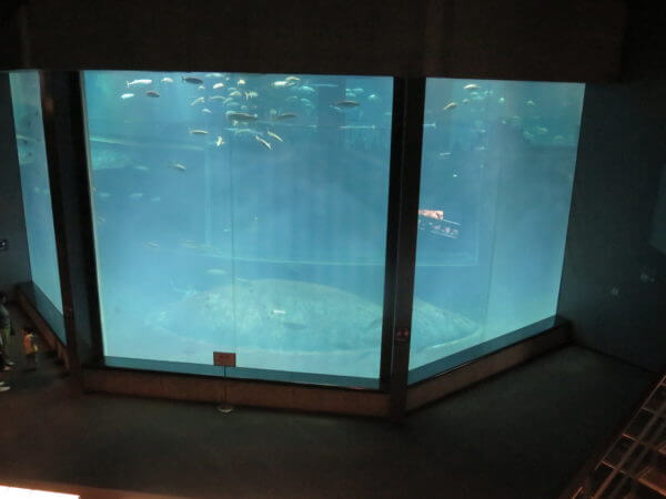 葛西臨海水族園