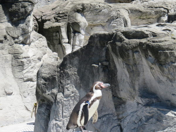 葛西臨海水族園