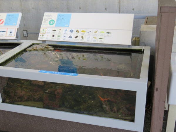 葛西臨海水族園