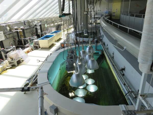 葛西臨海水族園