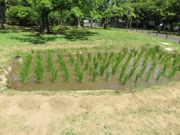 葛西臨海水族園