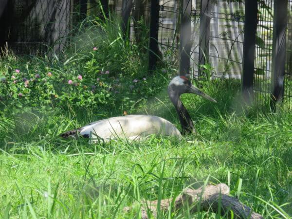 葛西臨海水族園