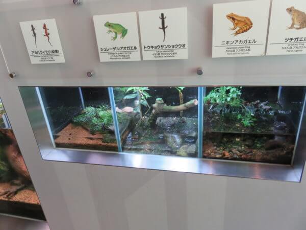 葛西臨海水族園