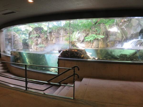 葛西臨海水族園