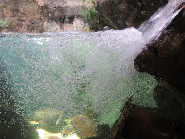 葛西臨海水族園