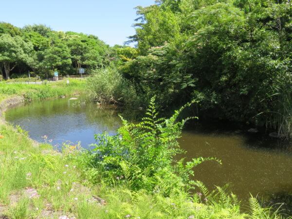 葛西臨海水族園