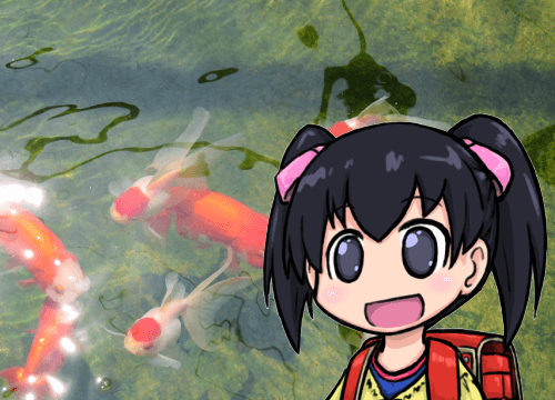 葛飾区金魚展示場