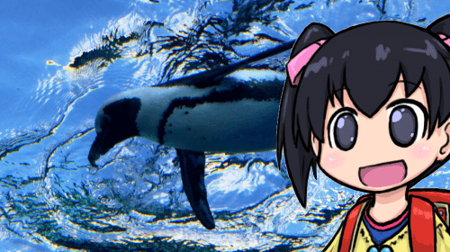 サンシャイン水族館