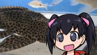 東京タワー水族館