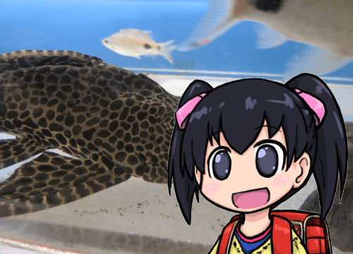 東京タワー水族館