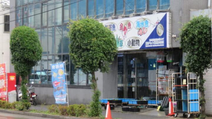 東京ペット貿易株式会社