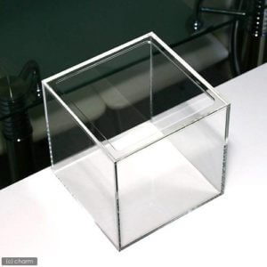 20cmアクリルキューブ水槽