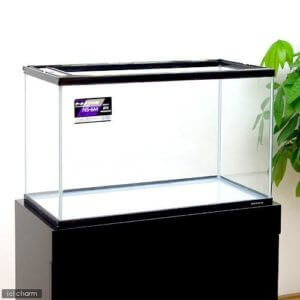 60cmフレーム水槽