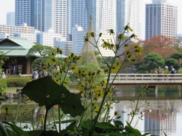 浜離宮恩賜庭園