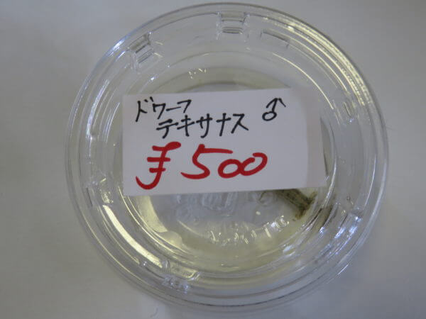 アクアリウムバス