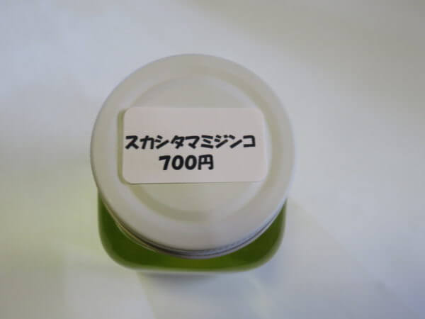 アクアリウムバス